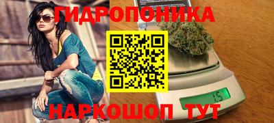 крисы Волжский
